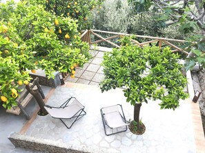 Terrasse/gårdhave