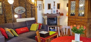 Fireplace, DVD player, books, video library