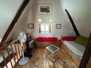 Fireplace, DVD player, books, video library