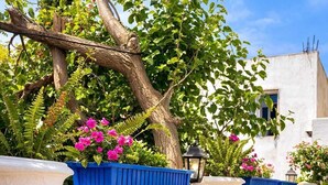 An outdoor seating area with round wooden tables and chairs, surrounded by white walls and blue planters with pink flowers. - Kavala Hotel Bodrum (Bodrum)