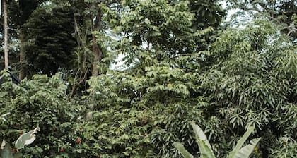 Ocean & Jungle Views, 5-Min Walk to Playa Hermosa Beach, Sleeps 6, Concierge!