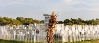 Historic Farm Cottage on 800-Acre Orchard