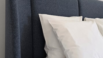 1 slaapkamer, een strijkplank/strijkijzer, wifi, beddengoed