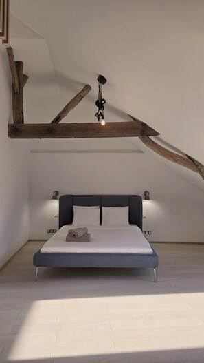 1 bedroom, iron/ironing board, WiFi, bed sheets - Botanical Garden-Apartment -Ground floor (Lens)