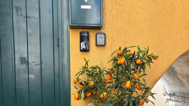 A potted orange tree, a mailbox, and a green door.