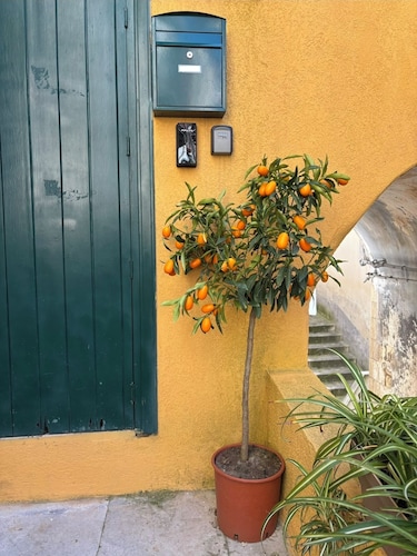 MiLù Sicily House, con questo alloggio in centro, sarai vicino a tutto.