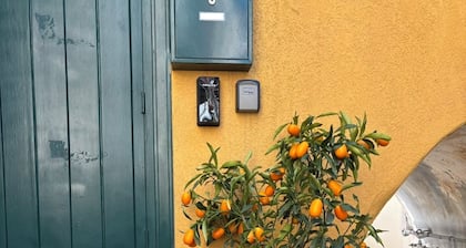MiLù Sicily House, with this downtown accommodation, you'll be close to everything.