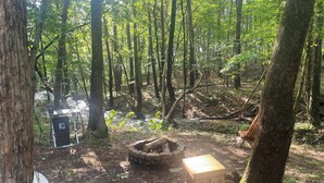 A forest campsite with a fire pit, a bench, and a table with a solar charger.