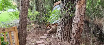 Welcome to the 99 Retreat!