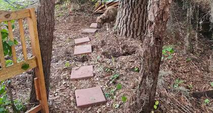 Welcome to the 99 Retreat!