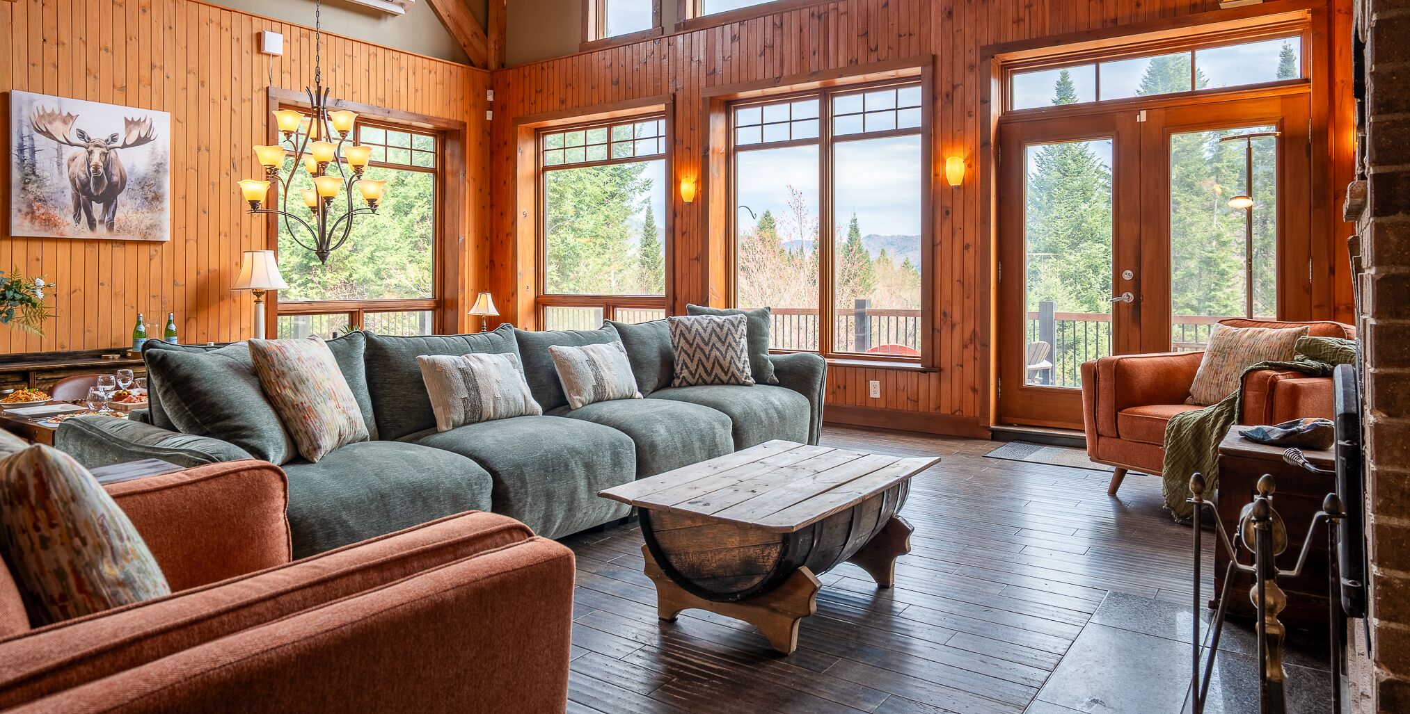 TV connectée, cheminée, livres