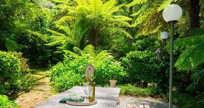 River Song – A Sanctuary by the Yarra River