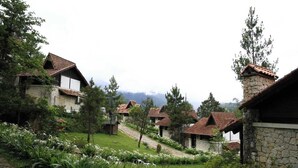 Un ensemble de charmantes maisons en pierre aux toits de tuiles rouges, entourées d’une végétation luxuriante et dominant un paysage montagneux.