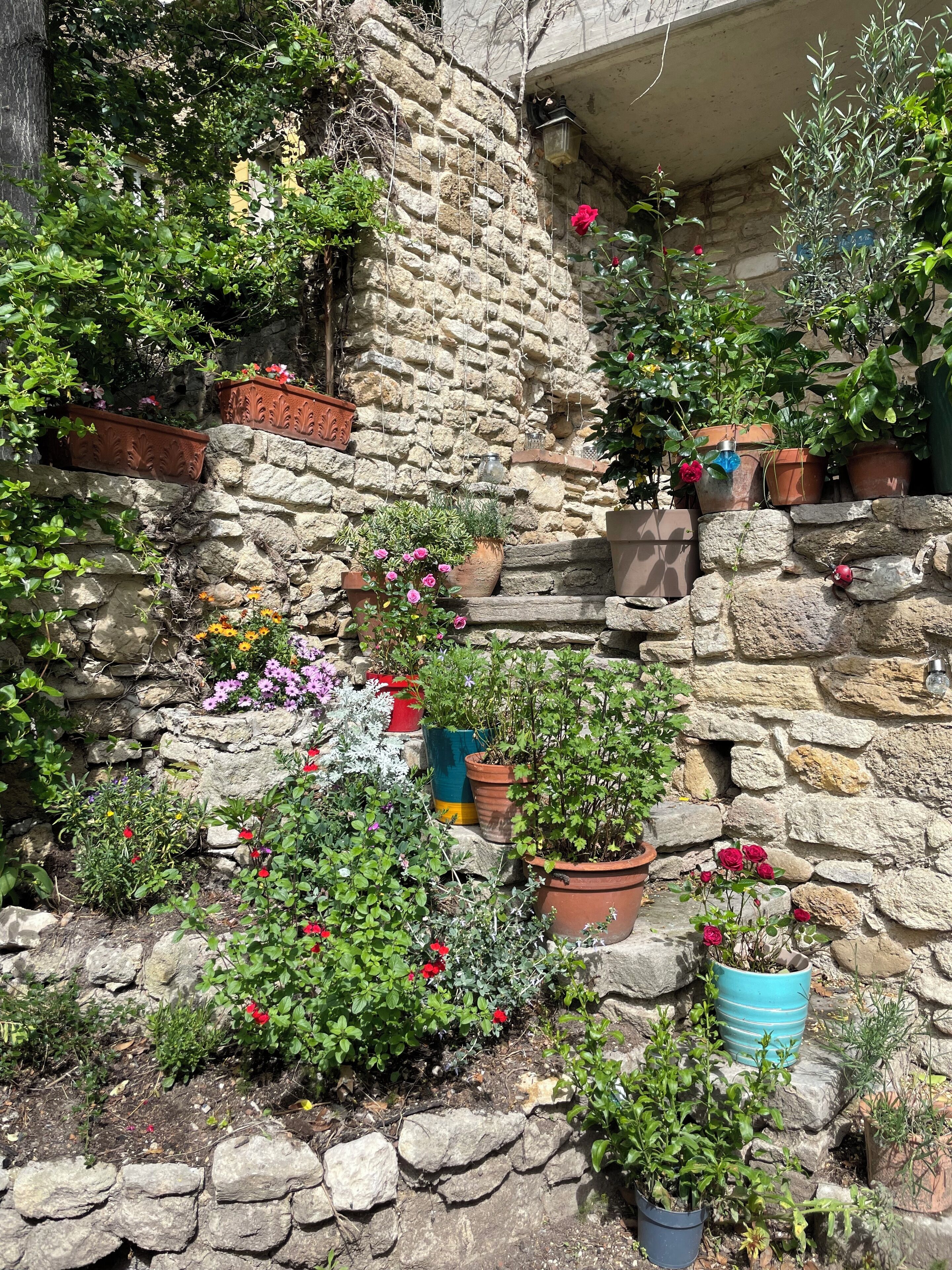 Área da propriedade