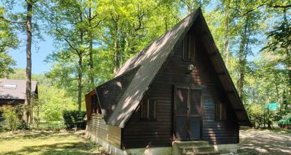 Chalet in the heart of nature 8 minutes from Vendôme