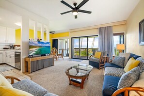 Smart-tv, dvd-afspiller, bøger, videobibliotek