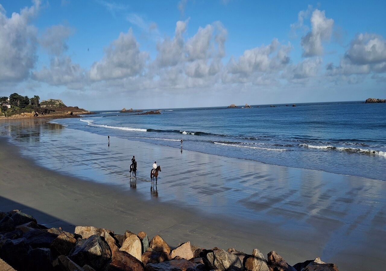 Vlak bij het strand