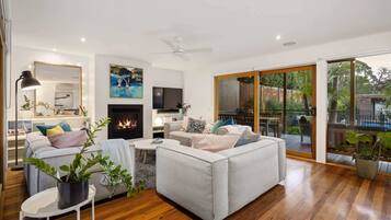 TV, fireplace, video games, DVD player