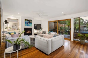 Télévision, cheminée, jeux vidéo, lecteur de DVD