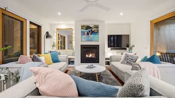 TV, fireplace, video games, DVD player