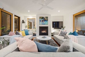 Télévision, cheminée, jeux vidéo, lecteur de DVD