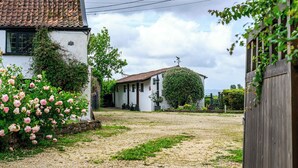 A rural house with a gravel driveway, a white exterior, and a large tree in front. - Bluebells by STAE-Homes (Bristol)