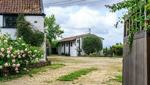 A rural house with a gravel driveway, surrounded by greenery and flowering plants. - Lavender by STAE-Homes (Bristol)
