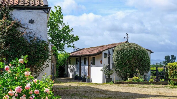 A rural house with a gravel driveway, surrounded by greenery and flowering plants. - Rose by STAE-Homes Su (Bristol)