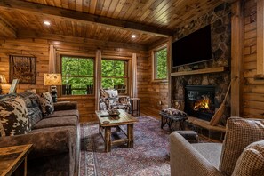 Smart TV, lareira, livros