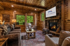 Smart TV, fireplace, books