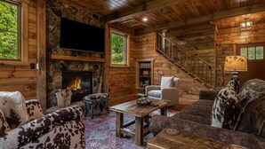 Smart TV, fireplace, books