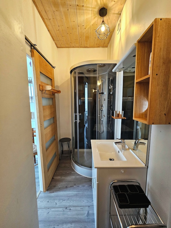 Shower, hair dryer