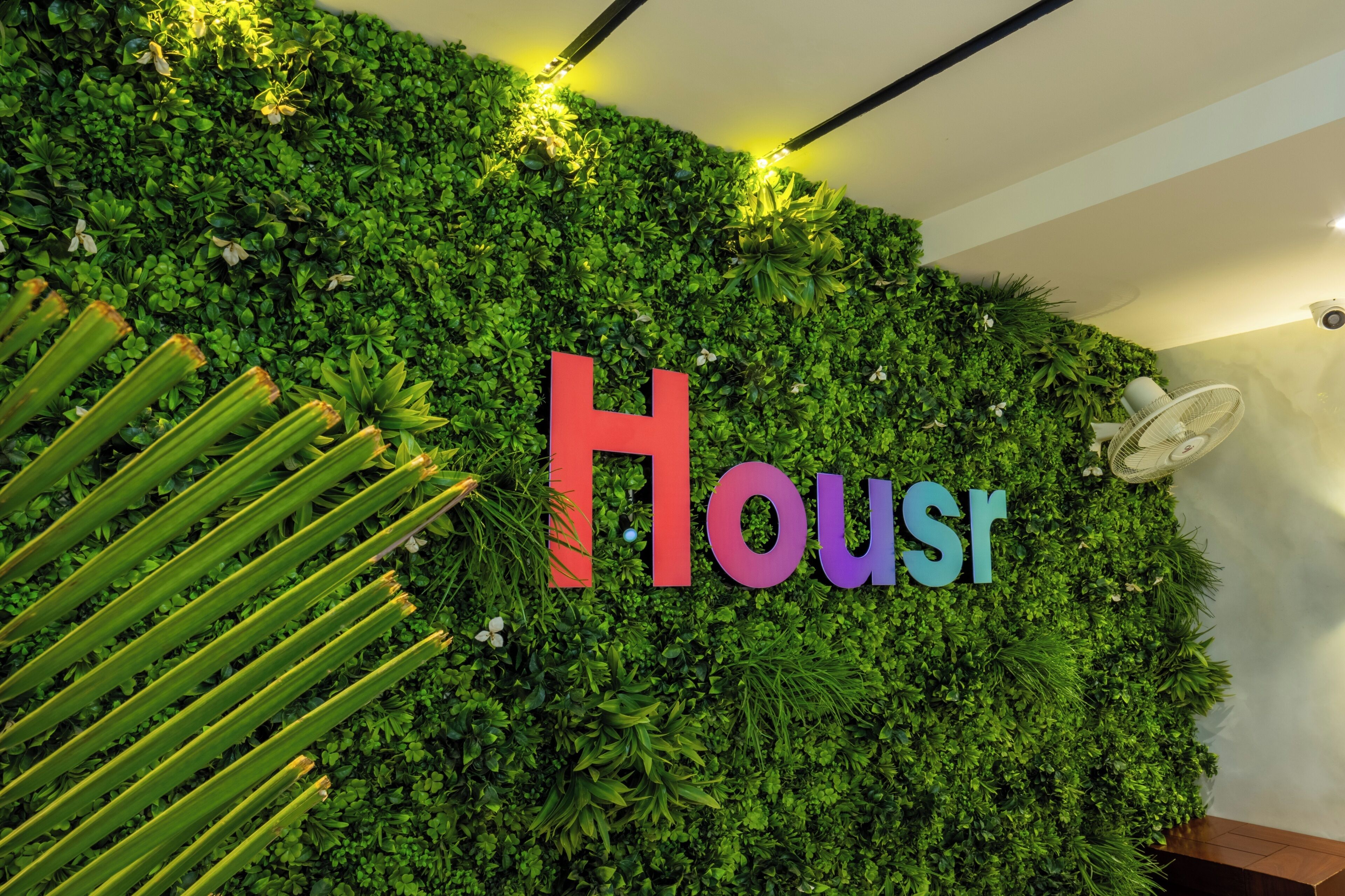 Una pared con la palabra "Housr" en letras coloridas, rodeada de follaje verde.