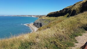 A coastal landscape with a clear view of the sea, grassy cliffs, and a distant town.