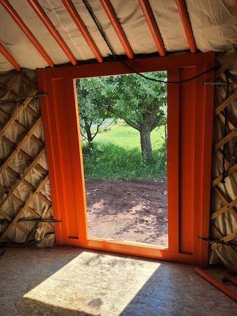 Interior. Micro adventure yurt