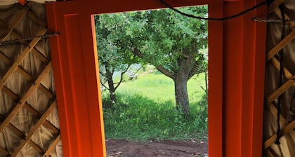 Micro adventure yurt