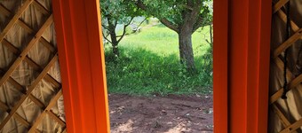 Micro adventure yurt