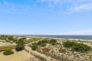 A beach with a wooden boardwalk leading to the water, surrounded by sparse vegetation and a clear sky.