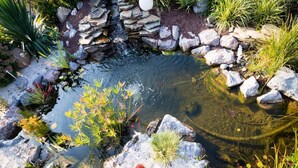 Un pequeño estanque rodeado de rocas y plantas.