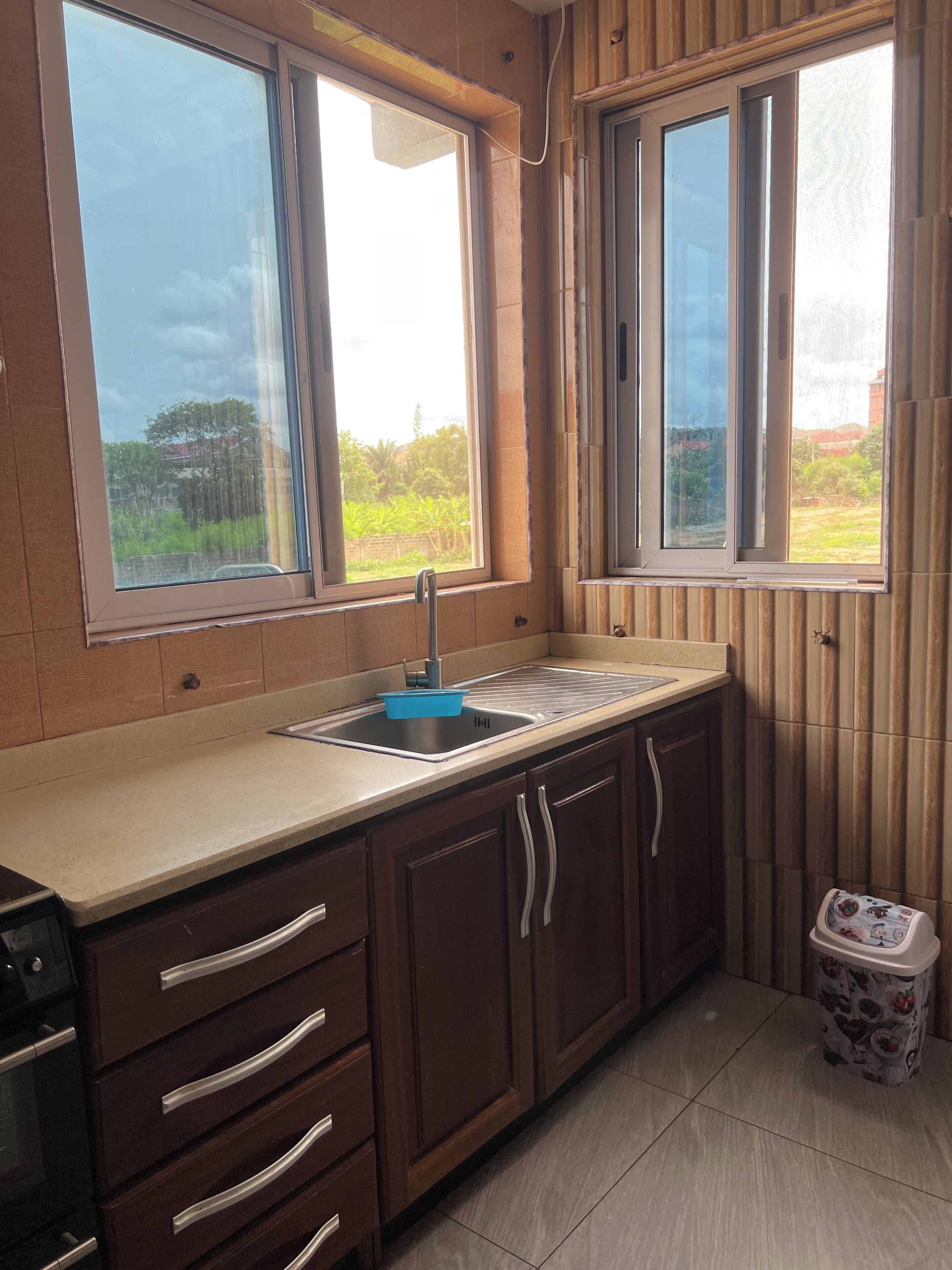 A kitchen with two windows, a sink, and wooden cabinets.