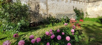 Charming apartment in a house with character