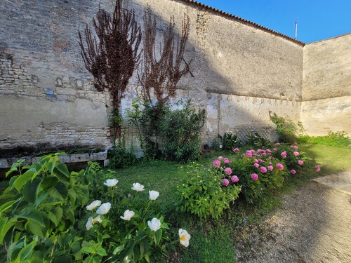 Charming apartment in a house with character