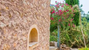 Un muro de piedra con una pequeña ventana en arco y un jardín de cactus con flores rosas.