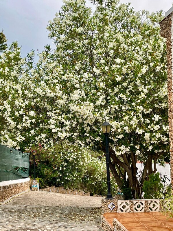 Terrein van de accommodatie