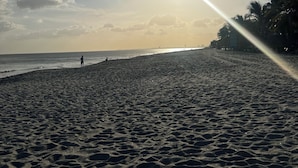 Een strand met een heldere lucht, zon en palmbomen.