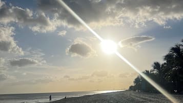 Sun-loungers, beach towels
