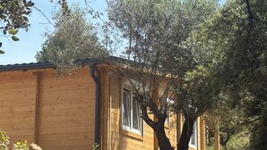 A wooden cabin with a sloped roof, surrounded by olive trees. - Gîte Chêne-Pin - Nature & Serenity Chalet at the Oasis des Corbières (Boutenac)