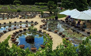 Espace banquet en plein air