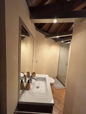 Ducha y secador de pelo