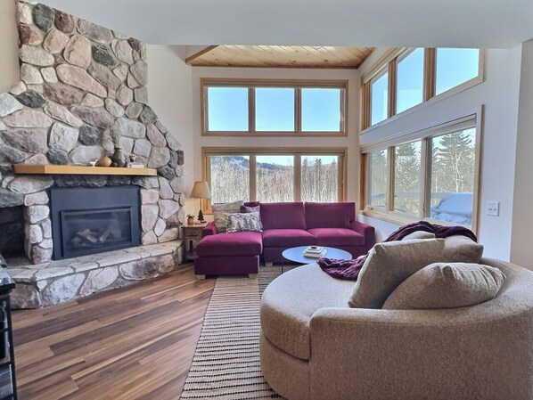 Smart TV, fireplace, ping pong, music library